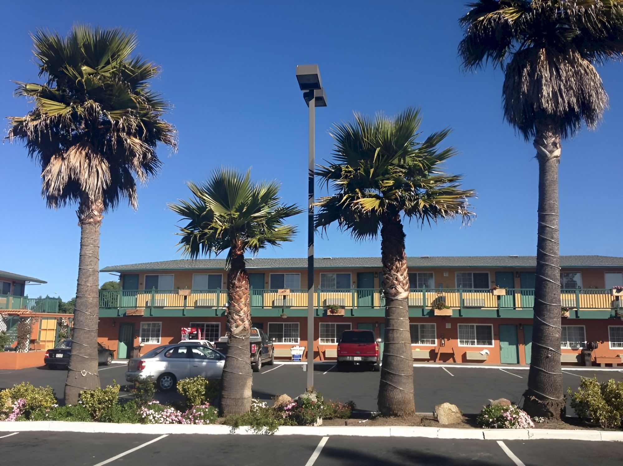 Palm trees frame a motel-style building with a parking lot, a streetlamp in the center, and a few cars parked along the curb.