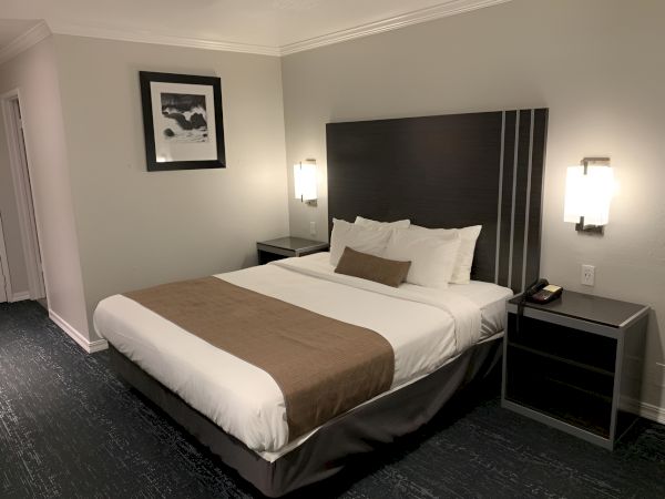 A modern hotel room with a large bed, two nightstands, wall lamps, and neutral decor, plus a framed picture on the wall and dark carpet.