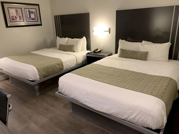 Two neatly made hotel beds with white linens and olive-green runners, a shared nightstand, wall lamp, and framed art on a soft grey floor.