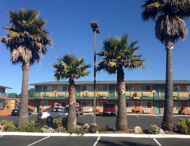 Palm trees line a parking lot in front of a two-story motel, with a bright blue sky and a few parked cars.