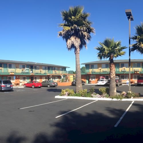 A sunny beach scene with palm trees, clear blue sky, and people strolling along the shore, with calm water and buildings in the background.