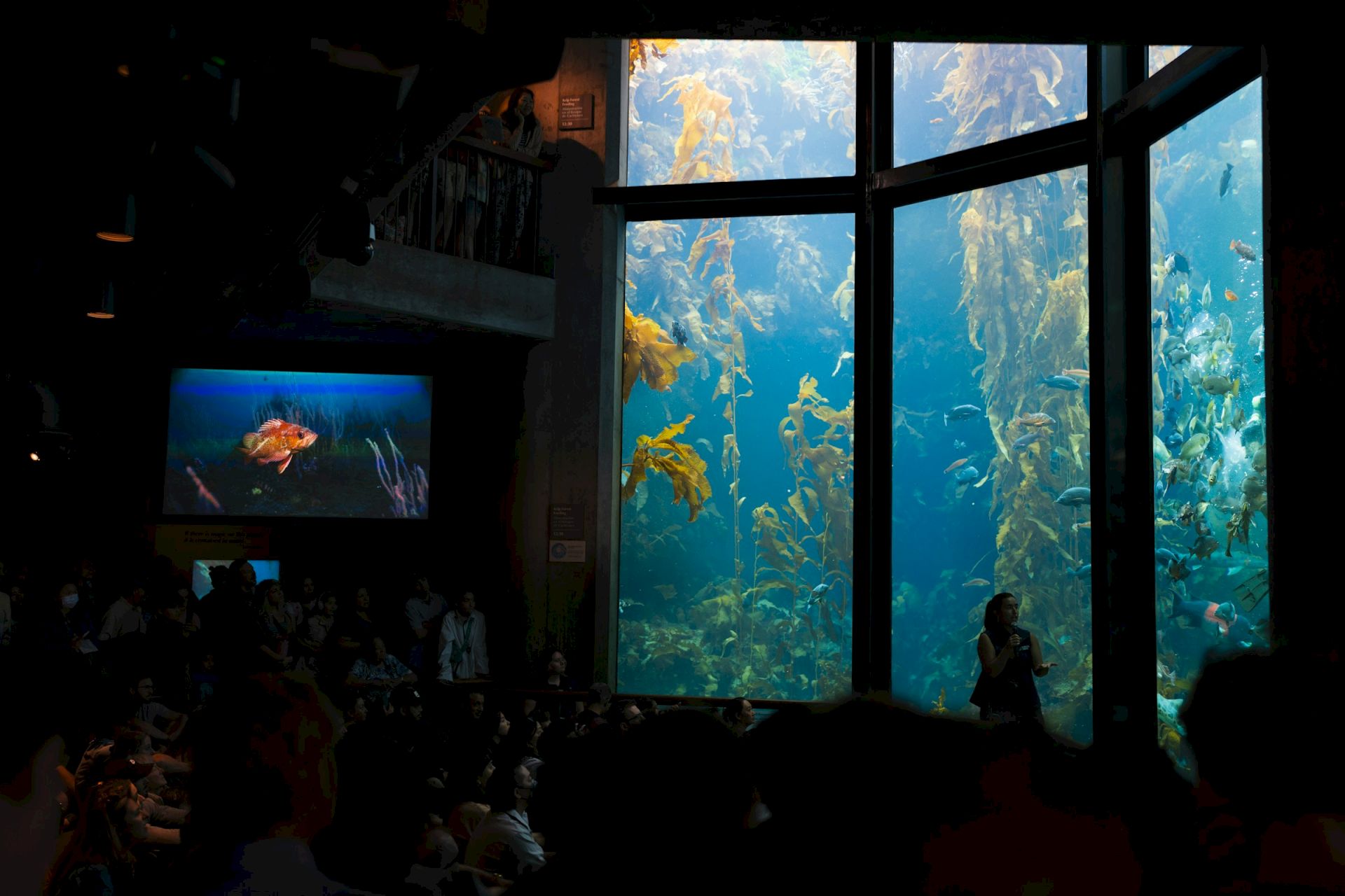 In a dim aquarium, visitors watch a large window tank filled with colorful coral and fish, its glow contrasting silhouettes of spectators.