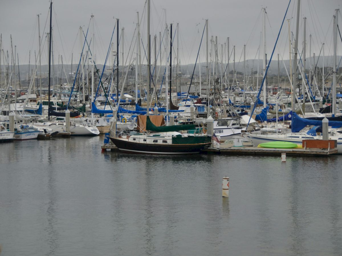 A marina filled with numerous sailboats and yachts docked closely together on calm waters.