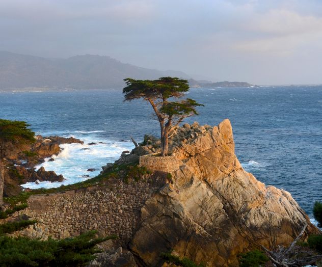 A rocky coastline with rugged cliffs, a leaning tree atop a rock outcrop, waves crashing against the shore, and distant hazy mountains over the sea.
