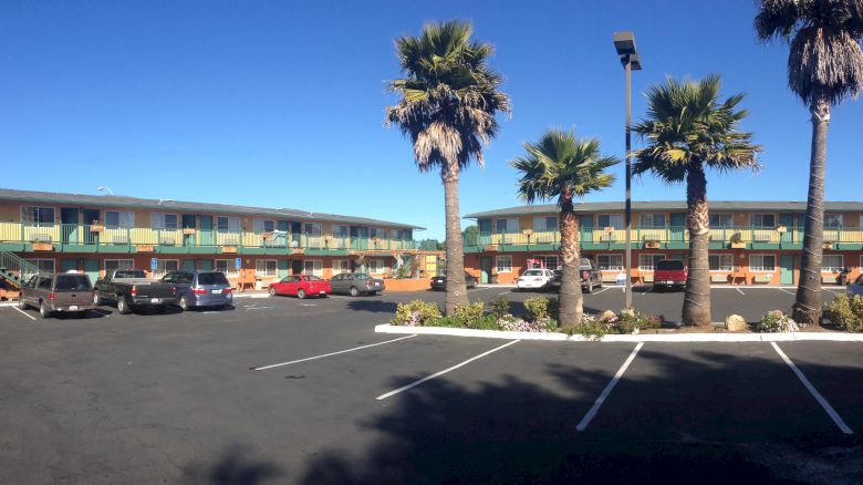 A two-story motel with mint-green railings, a row of palm trees, and a parking lot full of cars under a bright blue sky.